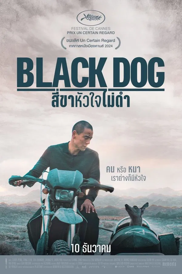 Black Dog 2024 HD black-dog-2024-hd